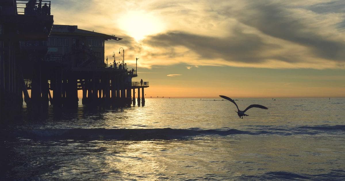 How to Create Your Own Lightroom Presets (and Sell Them)